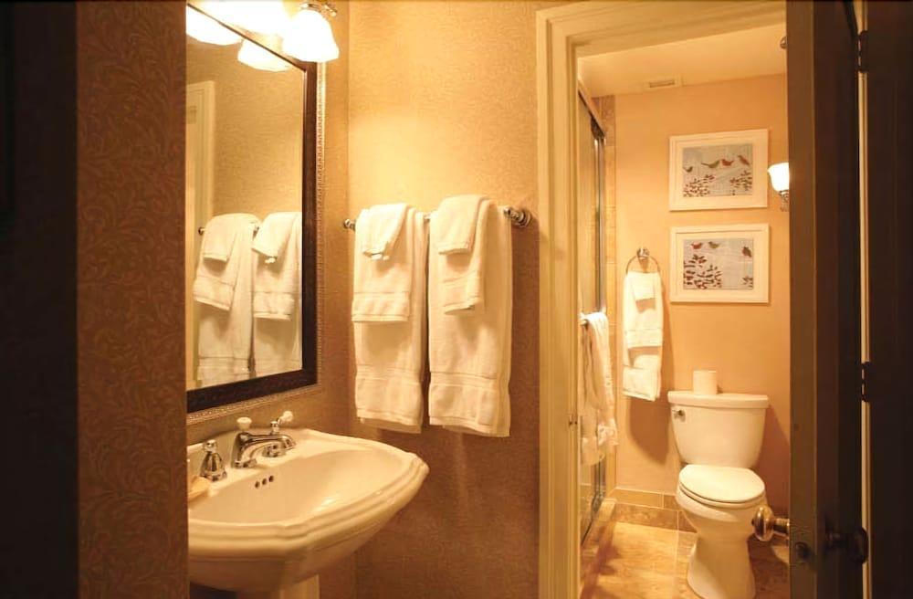 The Martha Washington Inn And Spa 阿宾顿 外观 照片